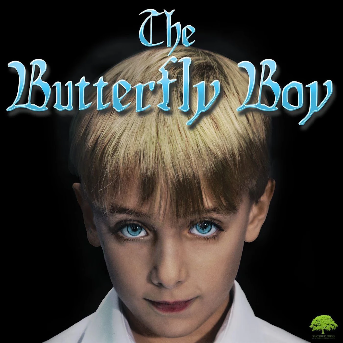 The Butterfly Boy — the audiobook